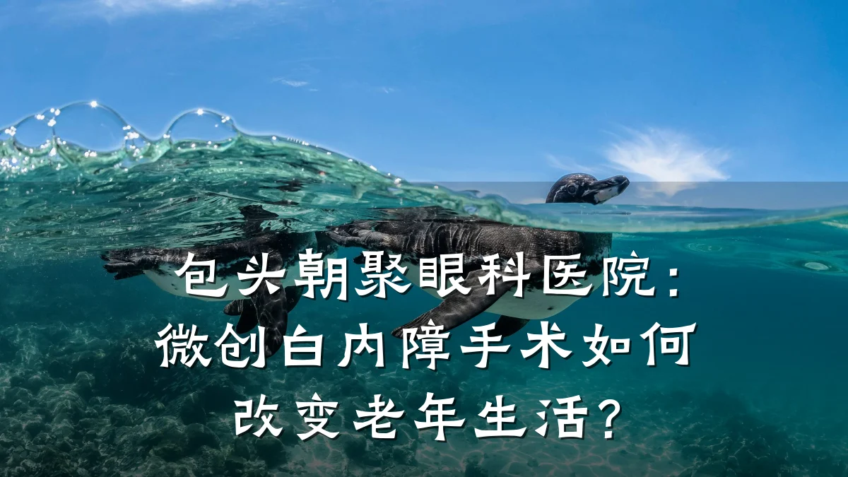 包头朝聚眼科医院:微创白内障手术如何改变老年生活?