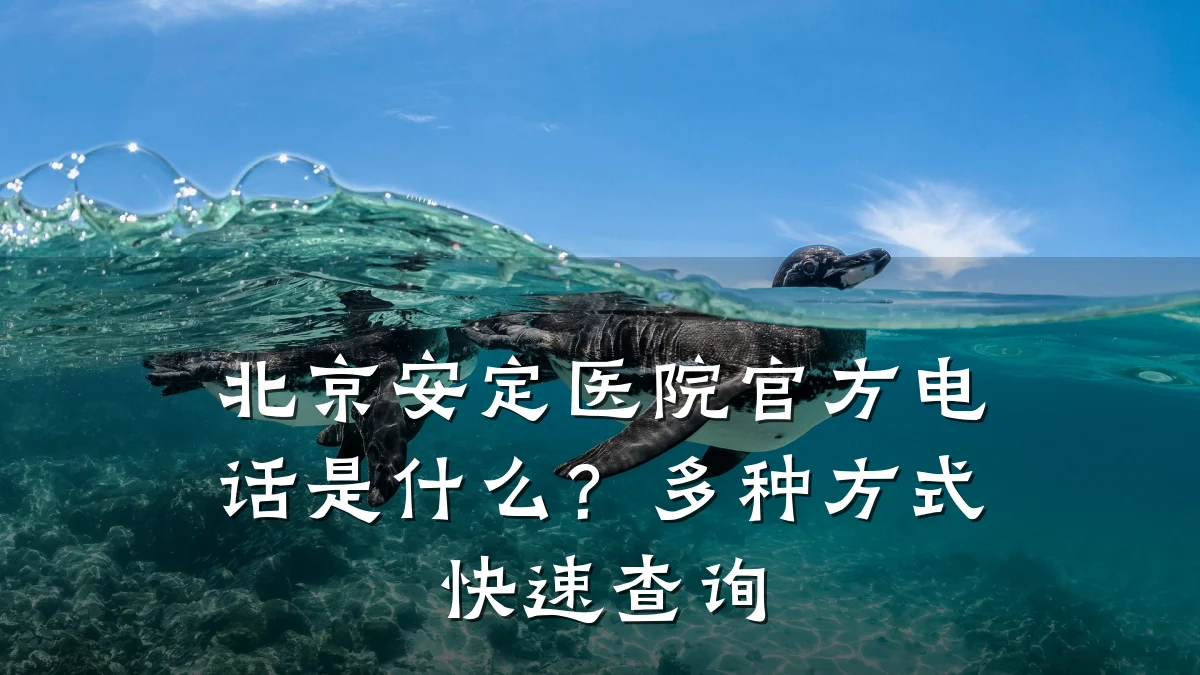 北京安定医院官方电话是什么?多种方式快速查询