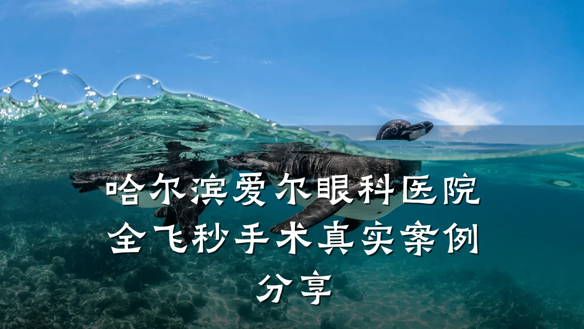 哈尔滨爱尔眼科医院全飞秒手术真实案例分享