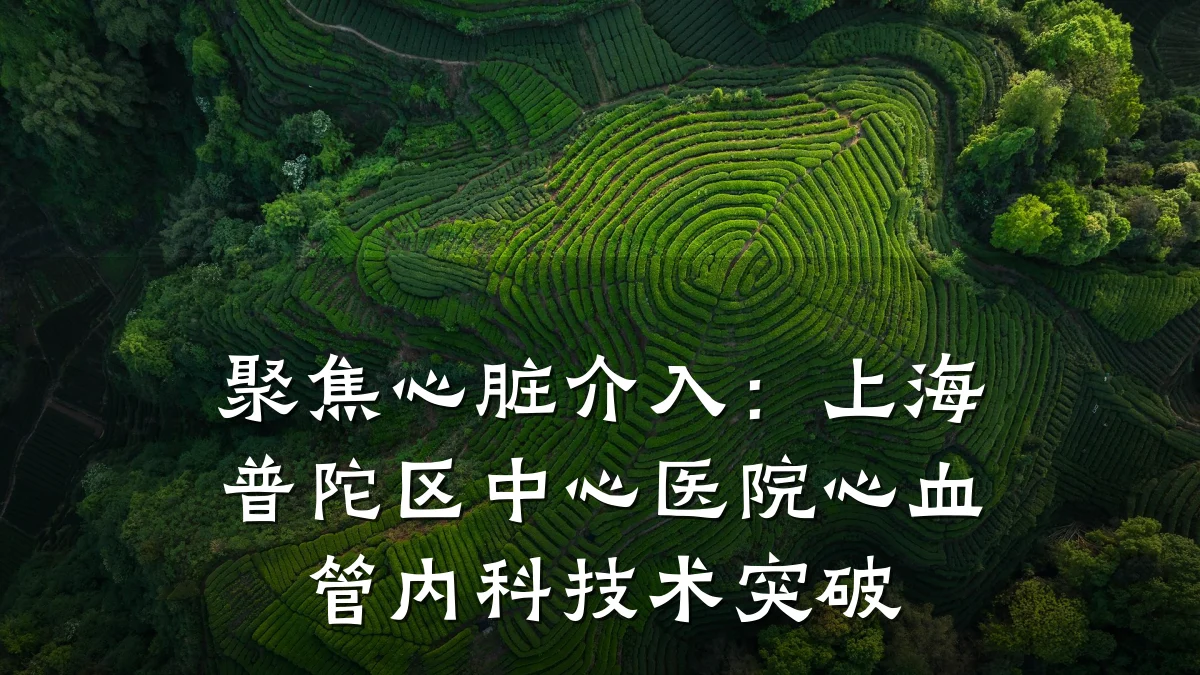 聚焦心脏介入:上海普陀区中心医院心血管内科技术突破