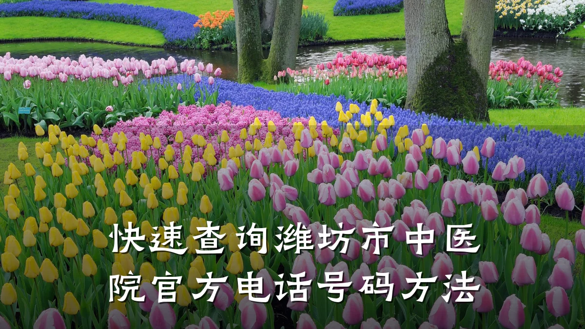 快速查询潍坊市中医院官方电话号码方法