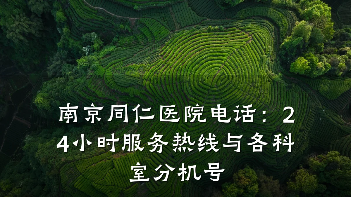 南京同仁医院电话:24小时服务热线与各科室分机号