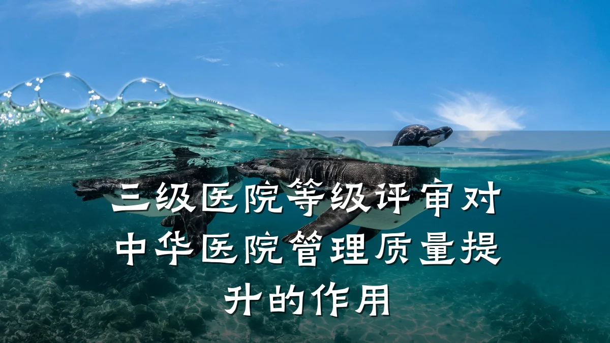 三级医院等级评审对中华医院管理质量提升的作用