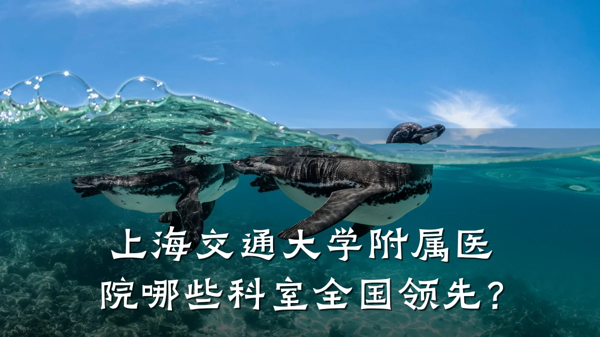 上海交通大学附属医院哪些科室全国领先？
