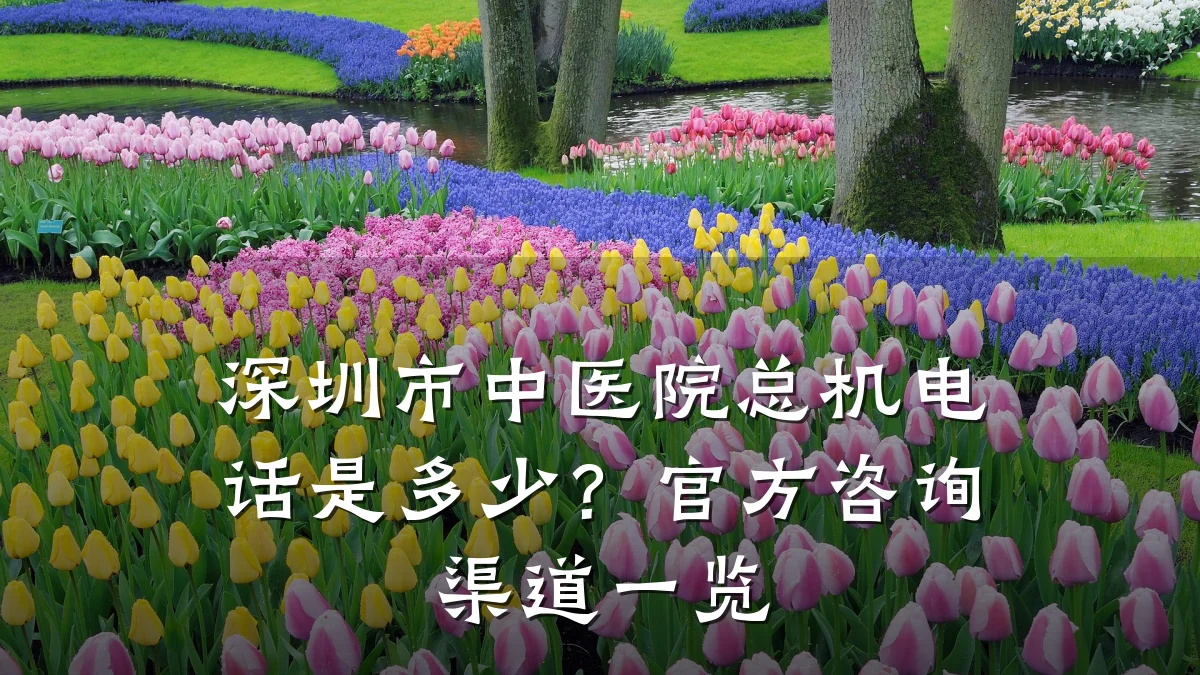 深圳市中医院总机电话是多少？官方咨询渠道一览