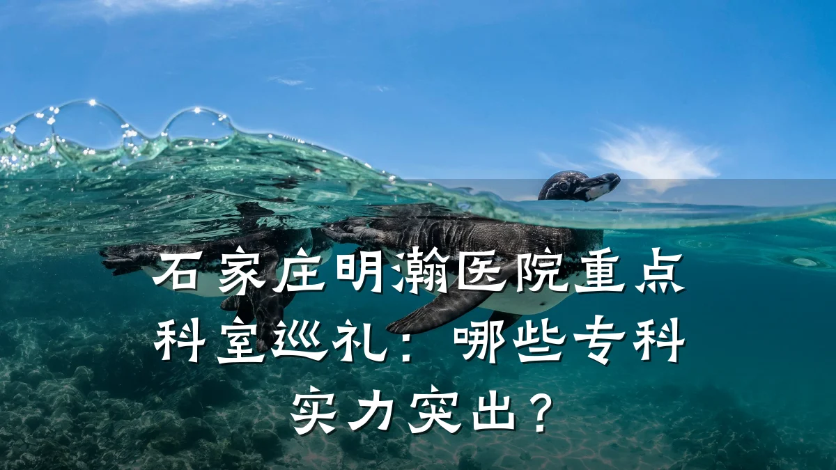 石家庄明瀚医院重点科室巡礼:哪些专科实力突出?