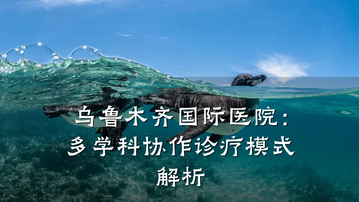 乌鲁木齐国际医院:多学科协作诊疗模式解析
