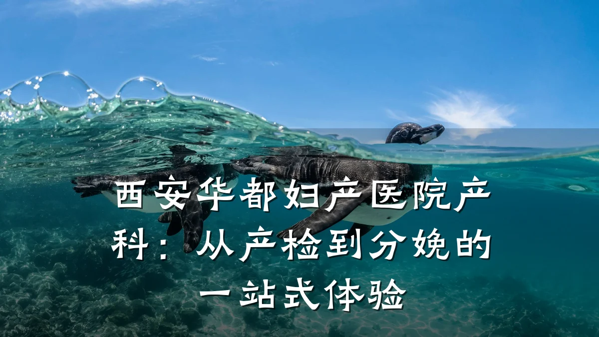 西安华都妇产医院产科:从产检到分娩的一站式体验