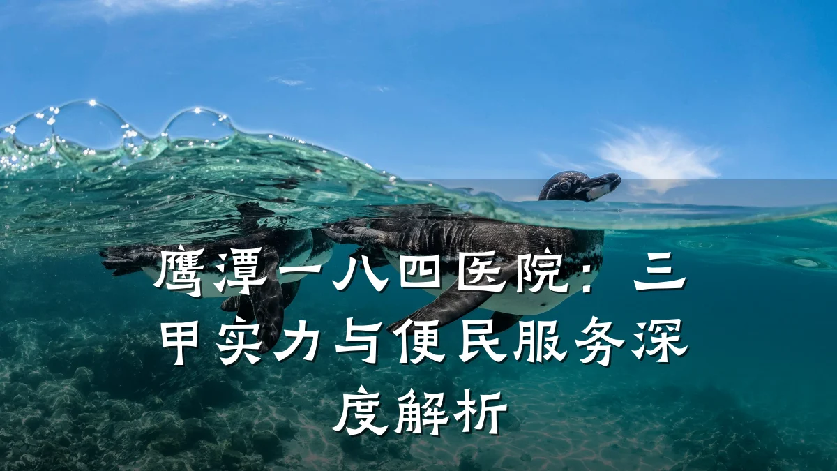 鹰潭一八四医院:三甲实力与便民服务深度解析