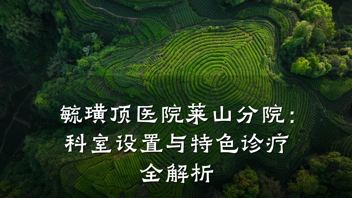 毓璜顶医院莱山分院:科室设置与特色诊疗全解析
