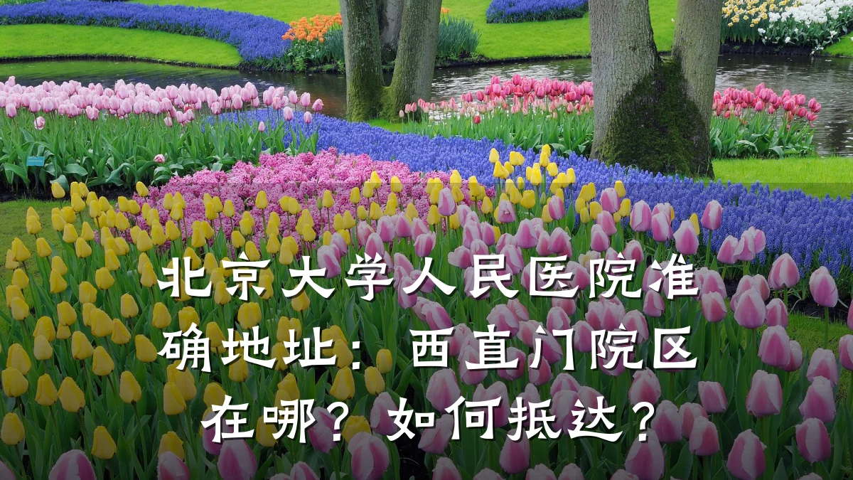 北京大学人民医院准确地址:西直门院区在哪?如何抵达?