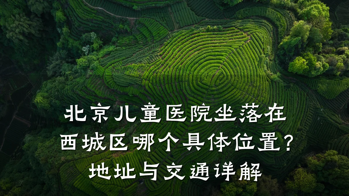 北京儿童医院坐落在西城区哪个具体位置?地址与交通详解