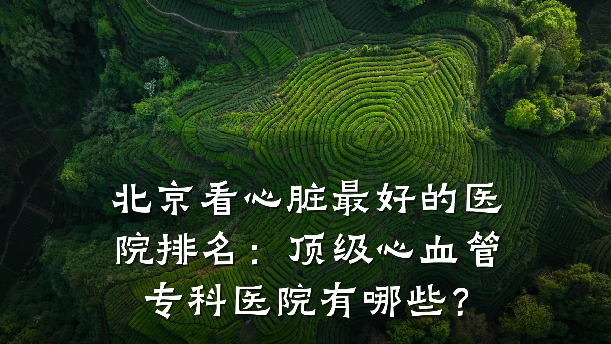 北京看心脏最好的医院排名：顶级心血管专科医院有哪些？
