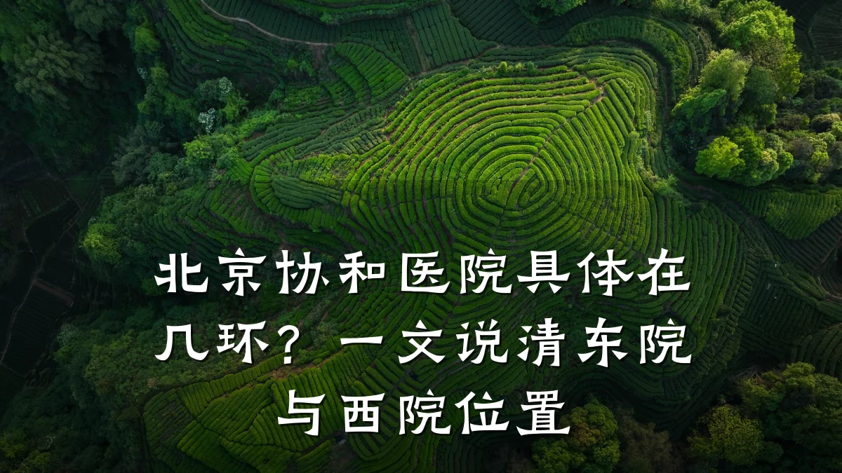 北京协和医院具体在几环?一文说清东院与西院位置
