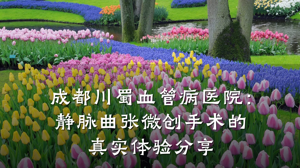 成都川蜀血管病医院:静脉曲张微创手术的真实体验分享