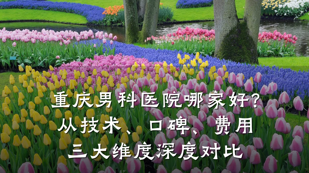 重庆男科医院哪家好?从技术、口碑、费用三大维度深度对比