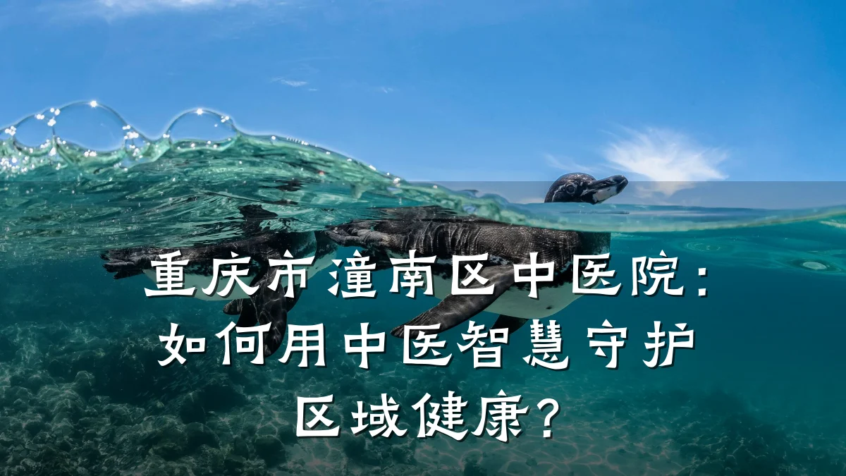 重庆市潼南区中医院:如何用中医智慧守护区域健康?