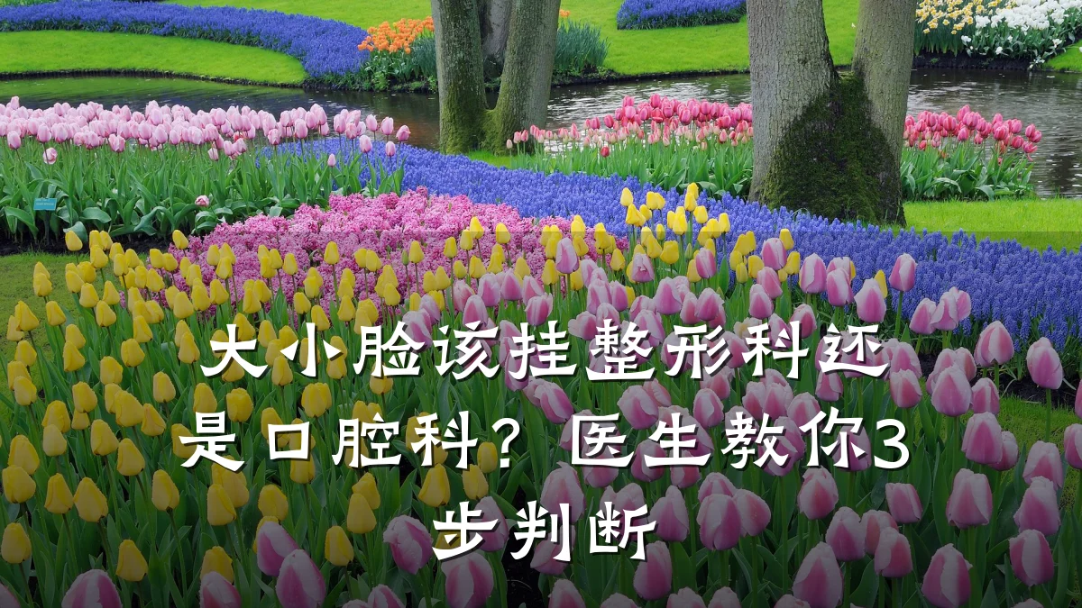 大小脸该挂整形科还是口腔科?医生教你3步判断