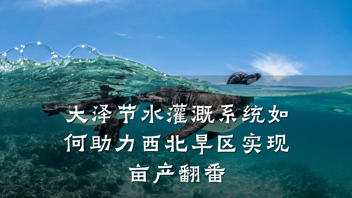 大泽节水灌溉系统如何助力西北旱区实现亩产翻番