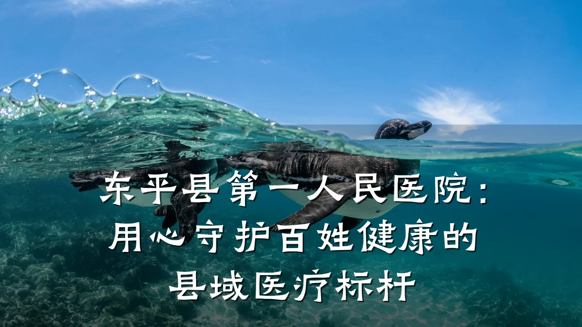 东平县第一人民医院:用心守护百姓健康的县域医疗标杆