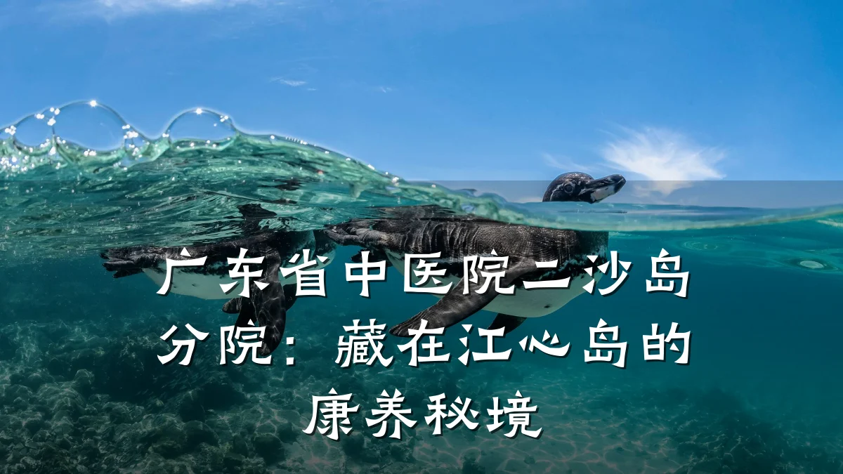 广东省中医院二沙岛分院:藏在江心岛的康养秘境