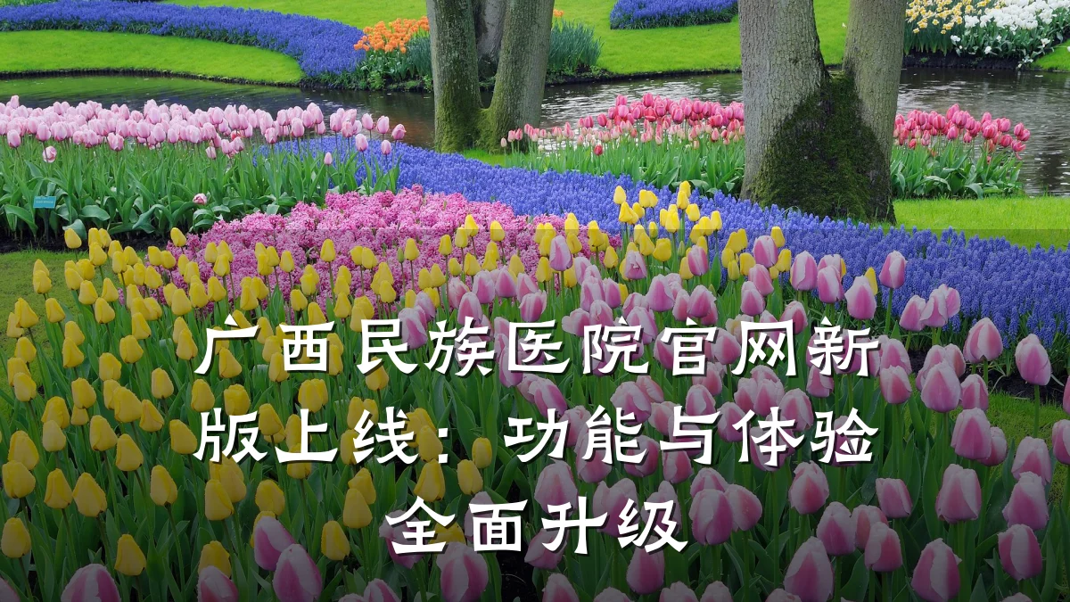 广西民族医院官网新版上线：功能与体验全面升级