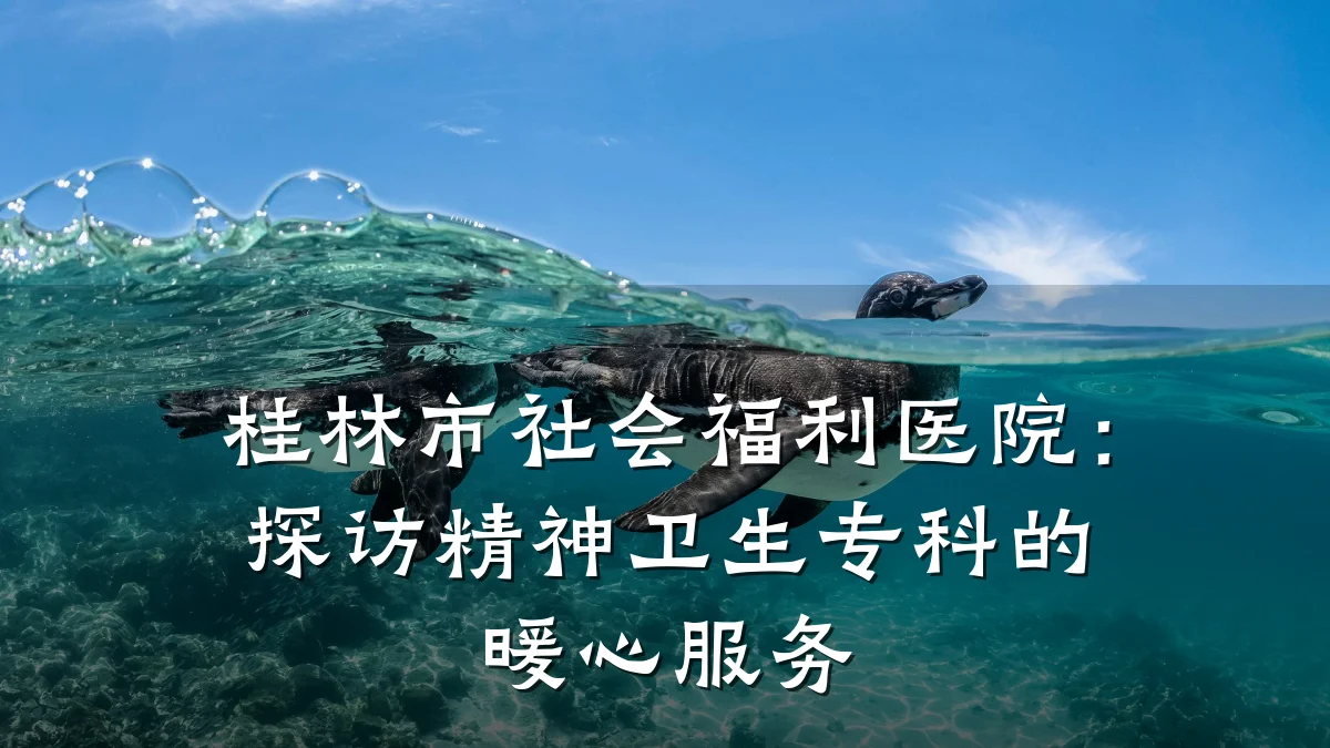 桂林市社会福利医院：探访精神卫生专科的暖心服务