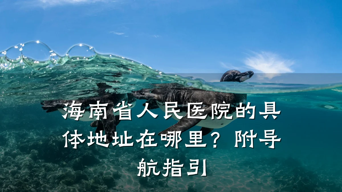 海南省人民医院的具体地址在哪里?附导航指引