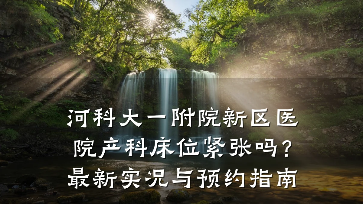 河科大一附院新区医院产科床位紧张吗?最新实况与预约指南