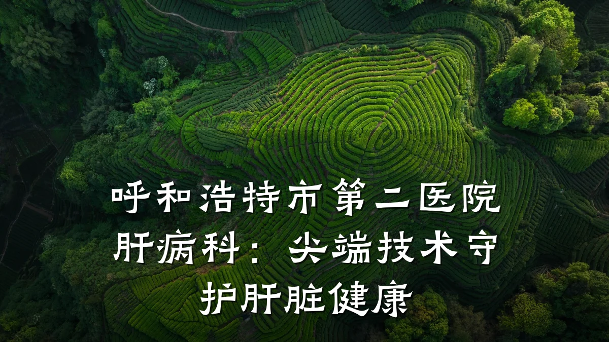 呼和浩特市第二医院肝病科:尖端技术守护肝脏健康