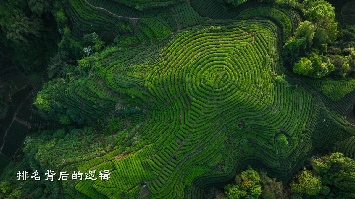 排名背后的逻辑