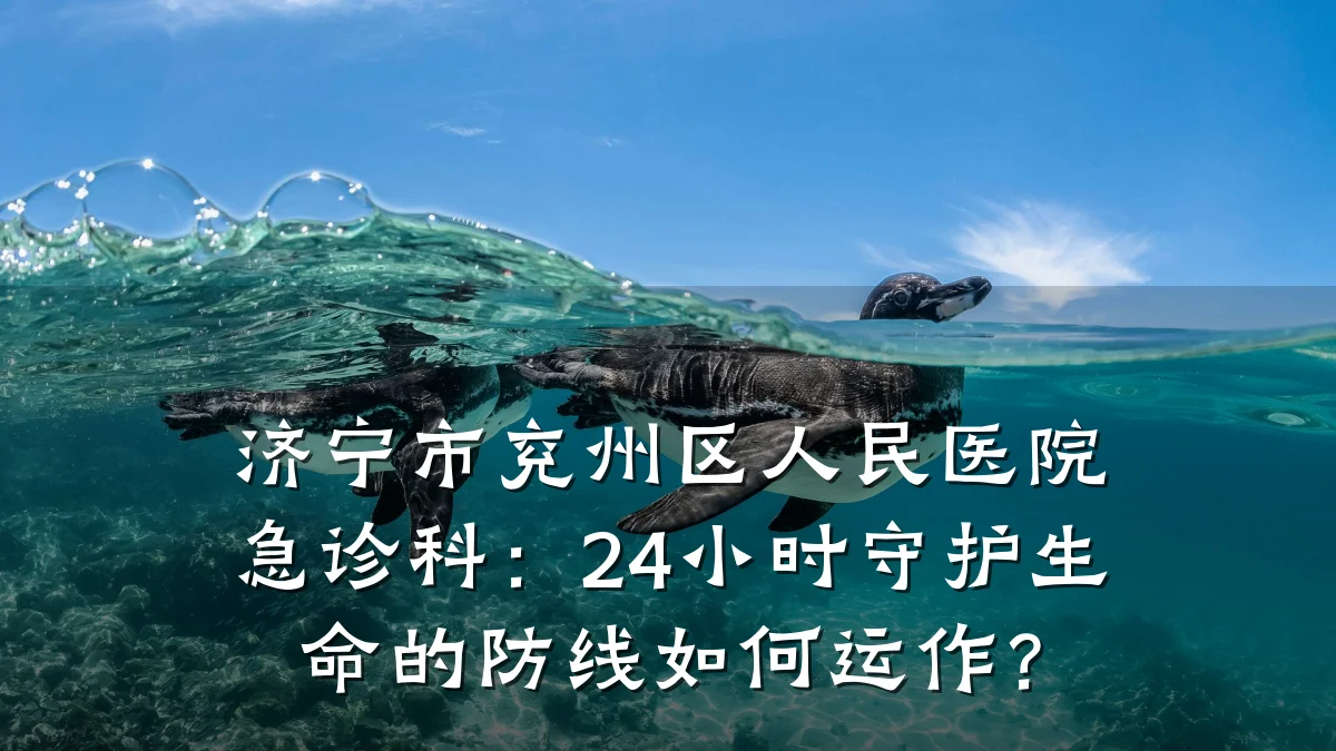 济宁市兖州区人民医院急诊科:24小时守护生命的防线如何运作?
