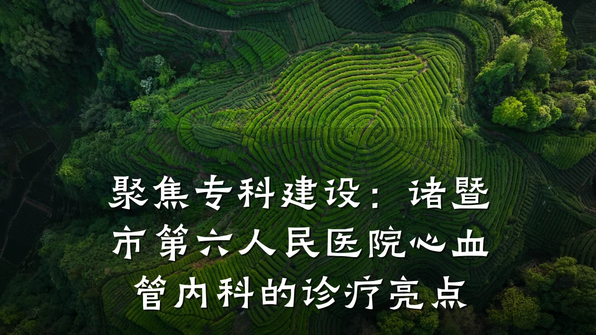 聚焦专科建设:诸暨市第六人民医院心血管内科的诊疗亮点