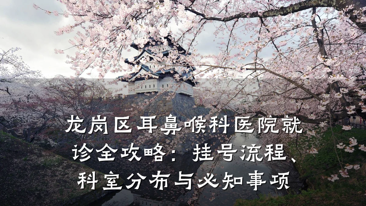 龙岗区耳鼻喉科医院就诊全攻略：挂号流程、科室分布与必知事项