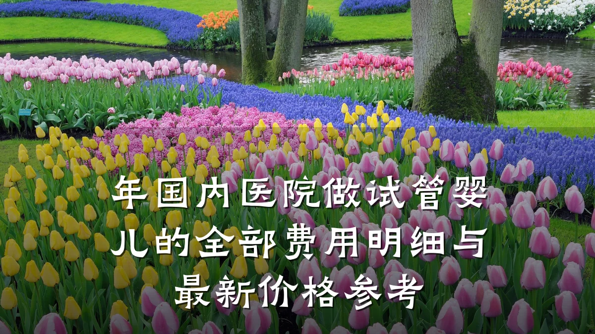 年国内医院做试管婴儿的全部费用明细与最新价格参考