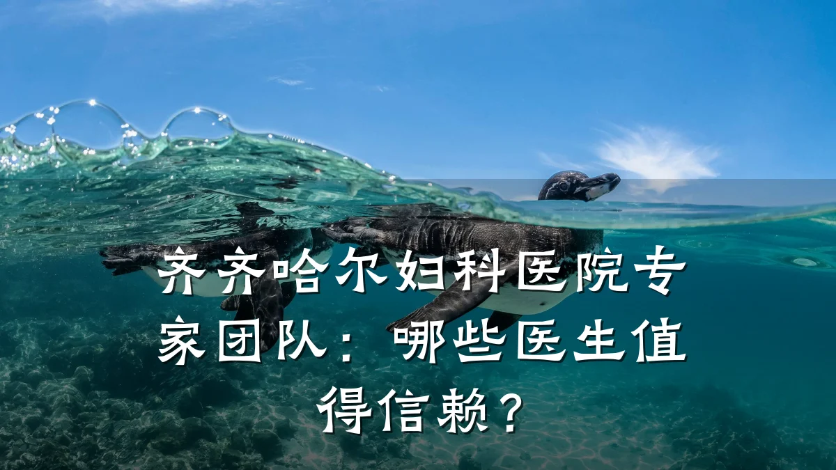 齐齐哈尔妇科医院专家团队:哪些医生值得信赖?