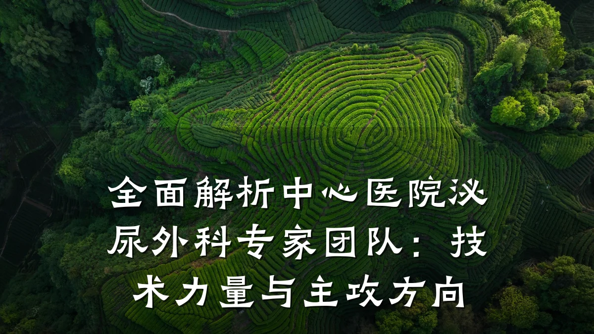 全面解析中心医院泌尿外科专家团队：技术力量与主攻方向