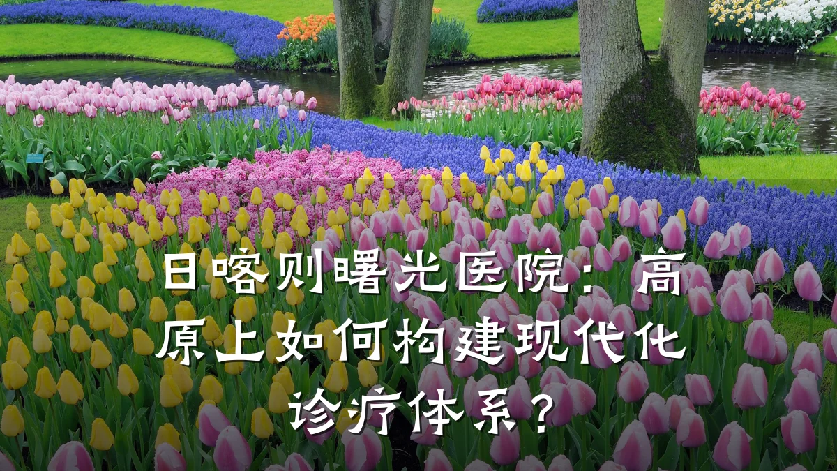 日喀则曙光医院：高原上如何构建现代化诊疗体系？
