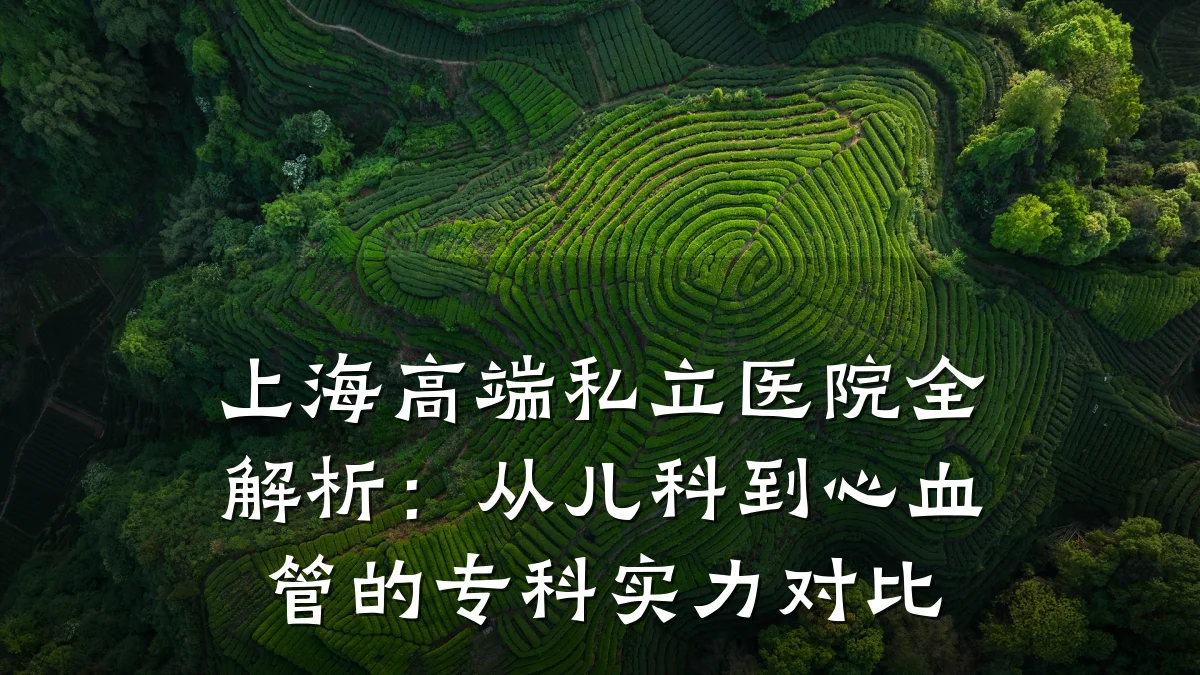 上海高端私立医院全解析:从儿科到心血管的专科实力对比