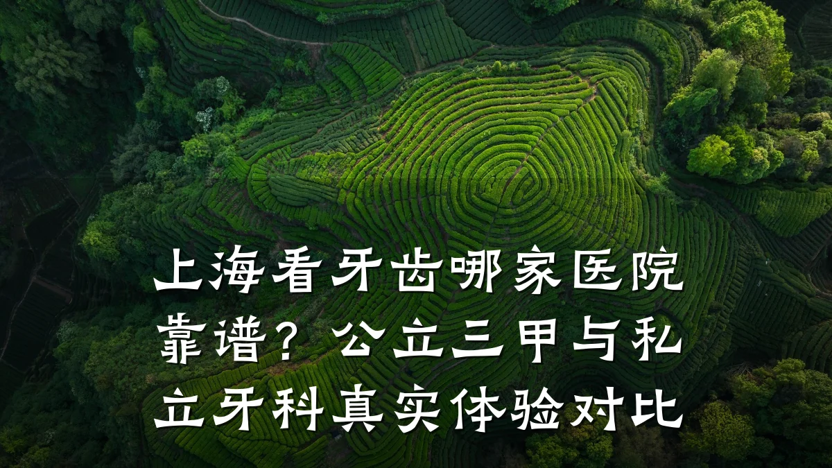 上海看牙齿哪家医院靠谱?公立三甲与私立牙科真实体验对比
