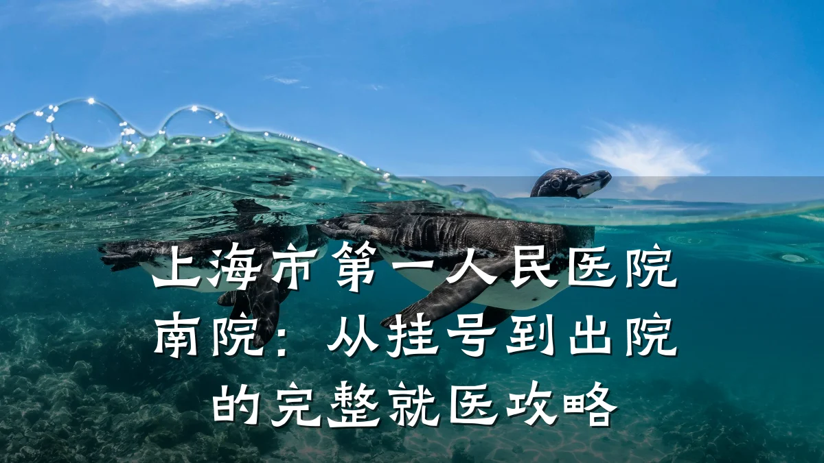 上海市第一人民医院南院:从挂号到出院的完整就医攻略