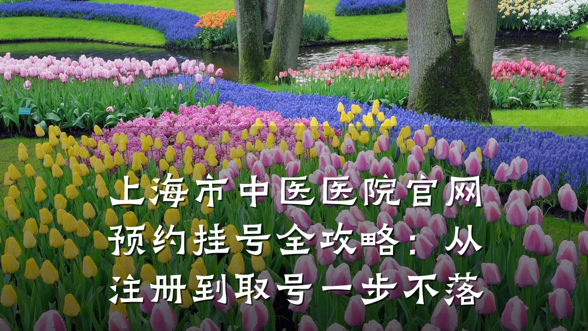 上海市中医医院官网预约挂号全攻略：从注册到取号一步不落