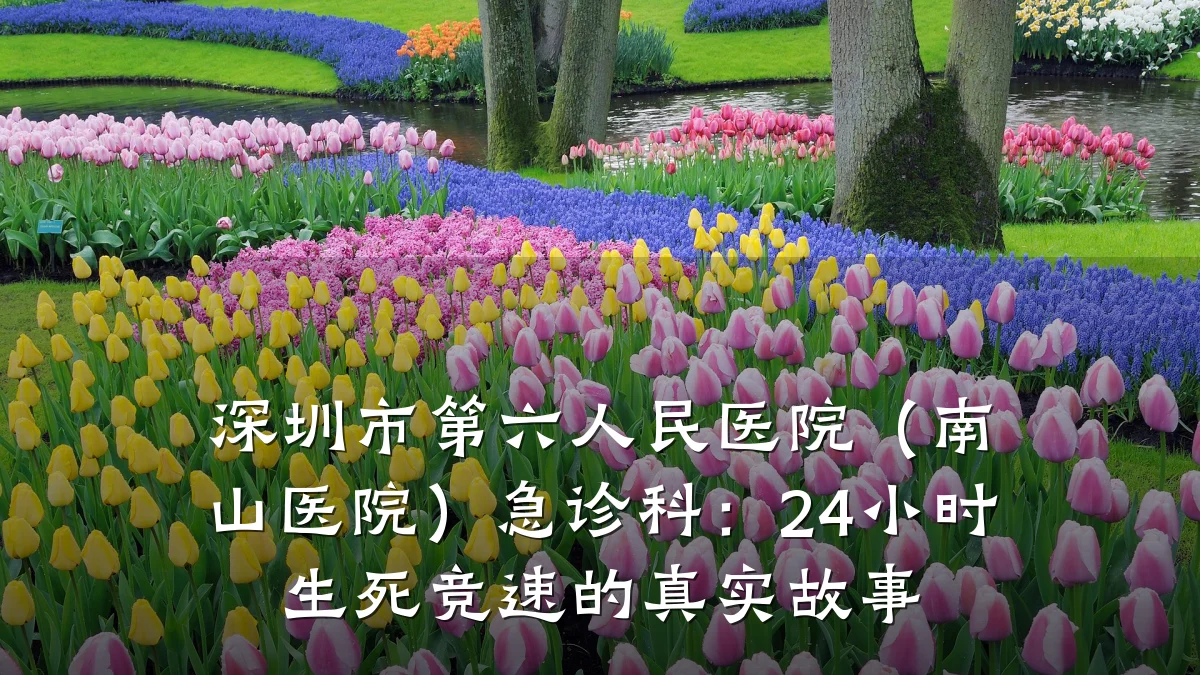 深圳市第六人民医院(南山医院)急诊科:24小时生死竞速的真实故事