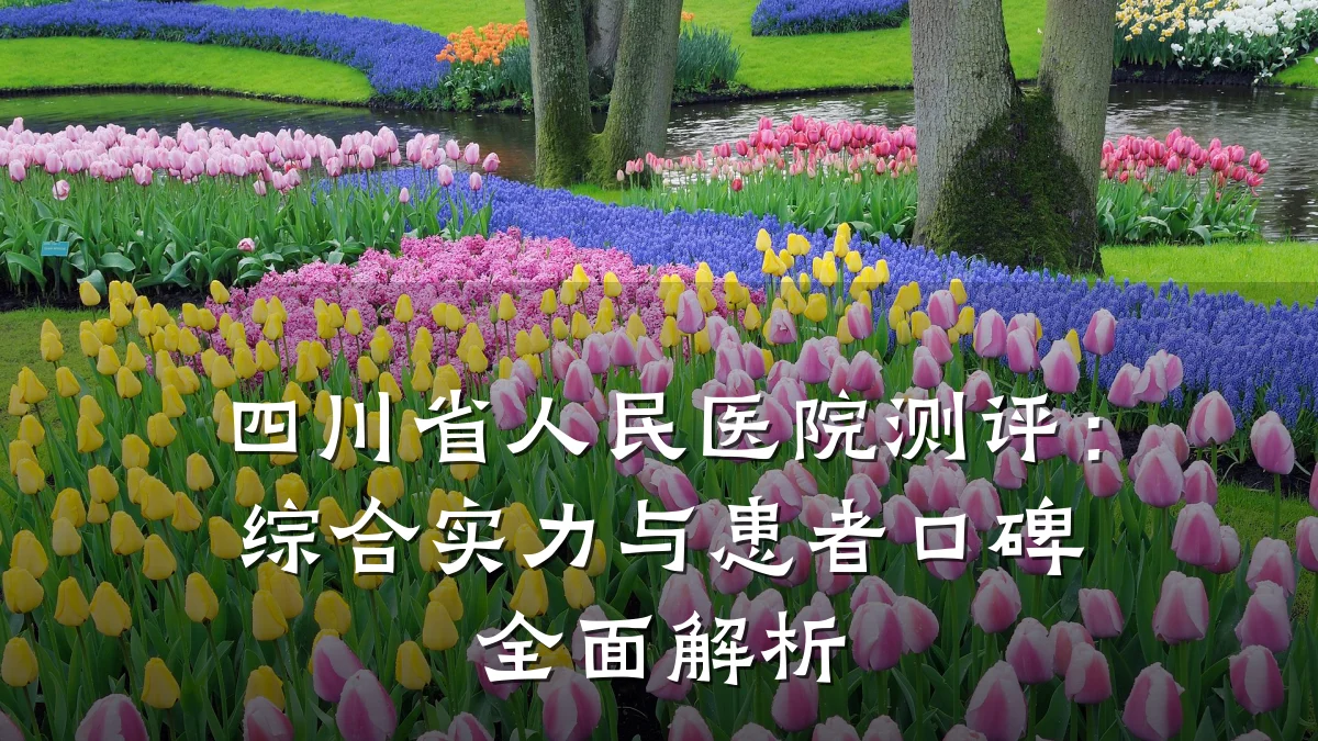 四川省人民医院测评:综合实力与患者口碑全面解析
