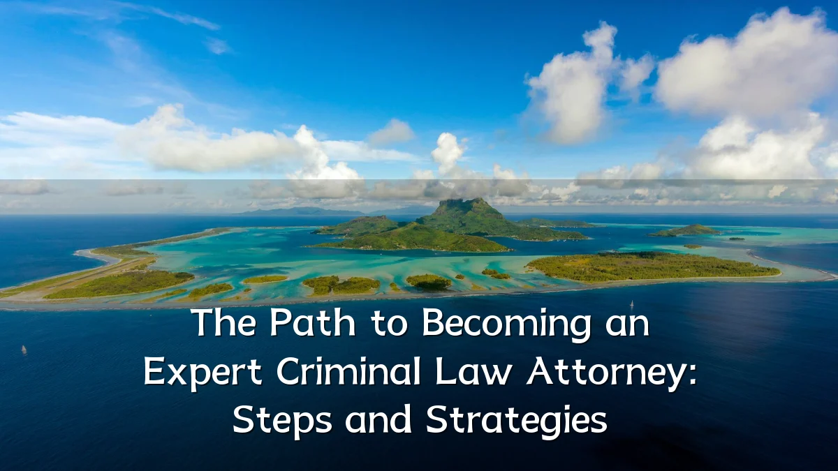 The Path to Becoming an Expert Criminal Law Attorney: Steps and Strategies