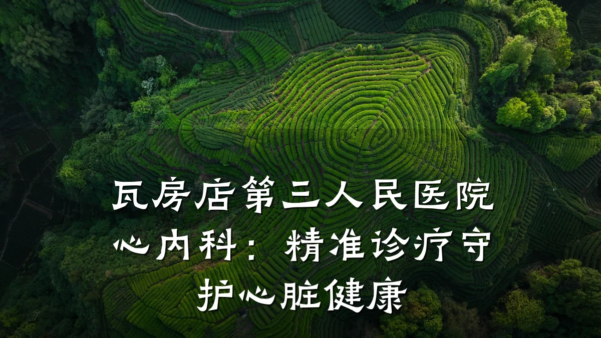 瓦房店第三人民医院心内科:精准诊疗守护心脏健康