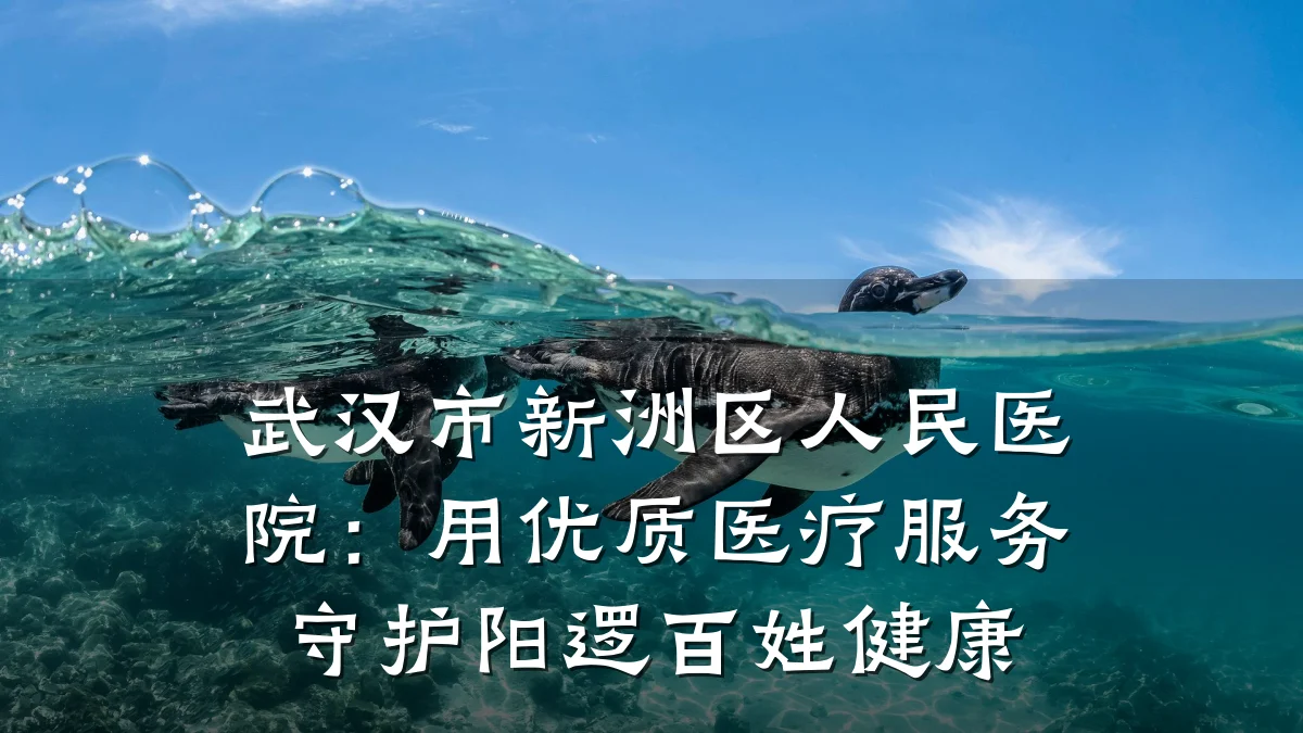 武汉市新洲区人民医院:用优质医疗服务守护阳逻百姓健康