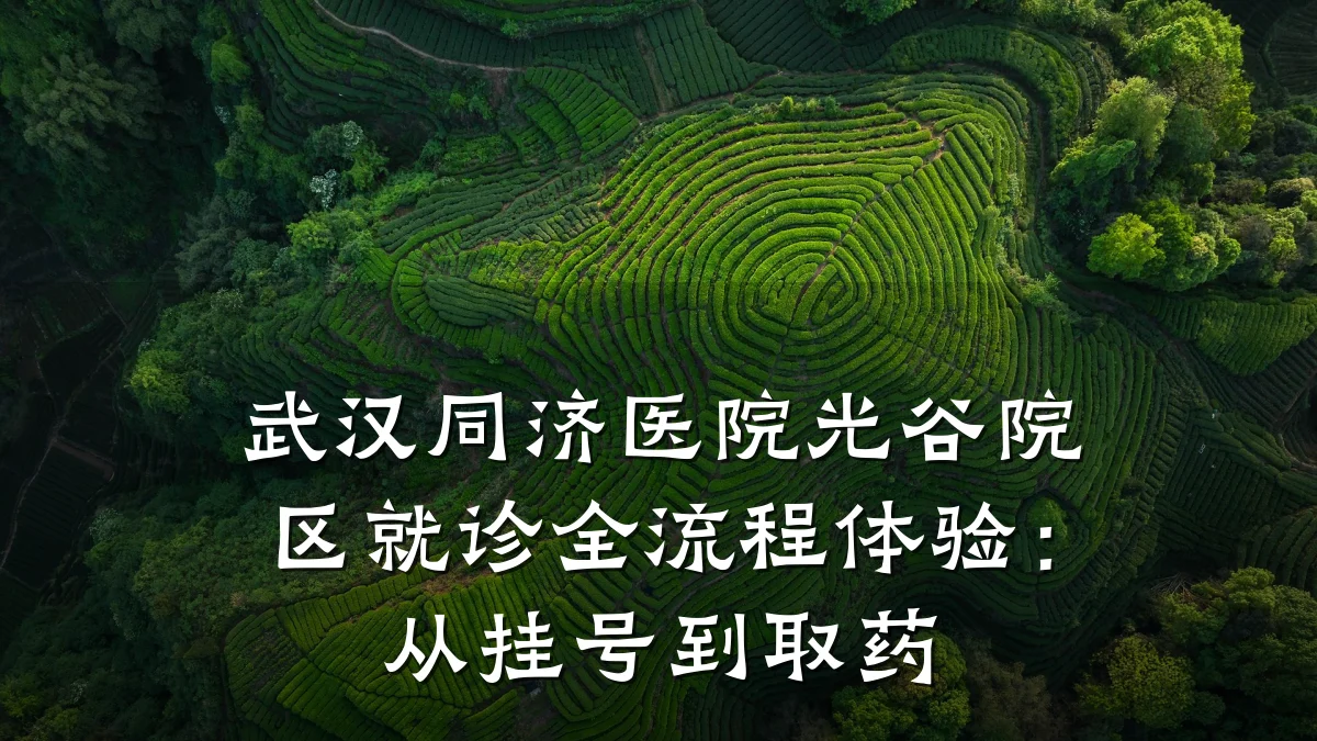 武汉同济医院光谷院区就诊全流程体验:从挂号到取药