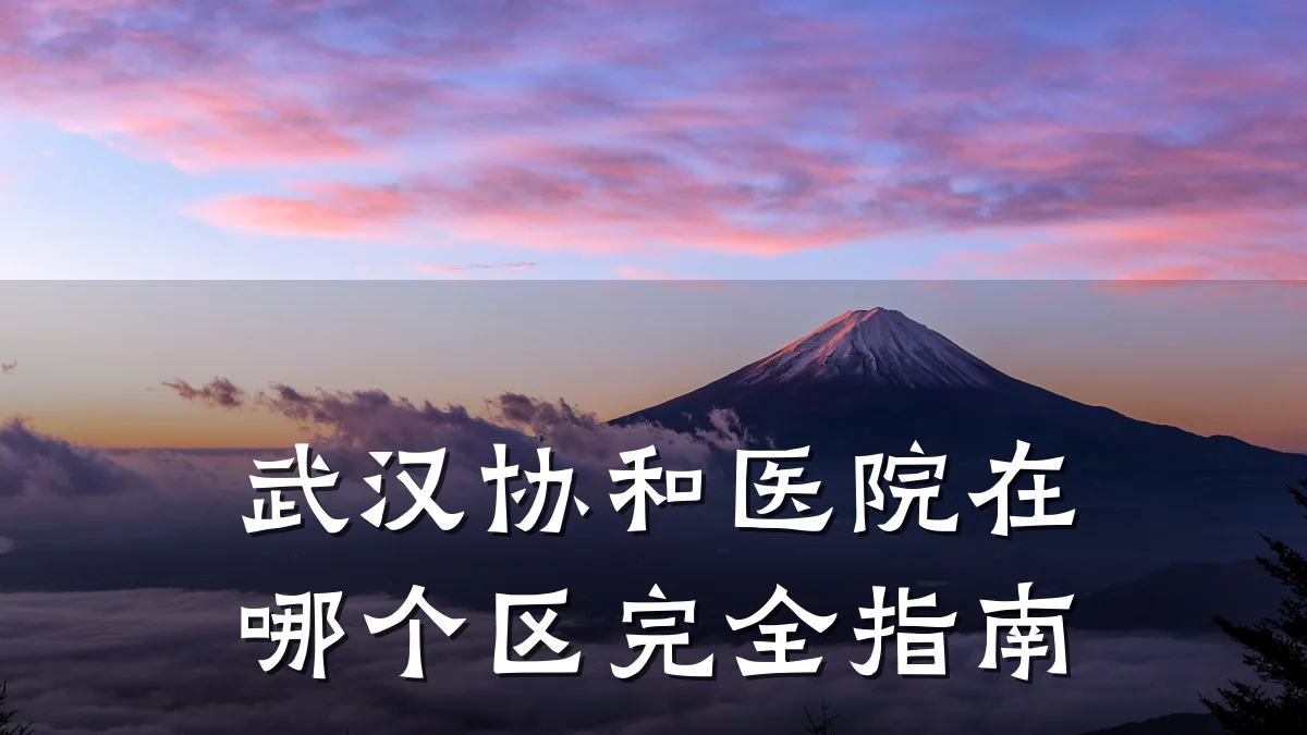 武汉协和医院在哪个区完全指南