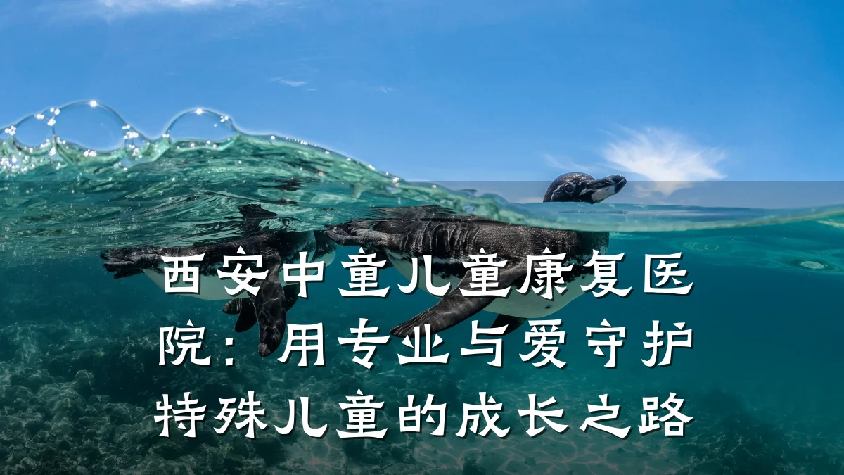 西安中童儿童康复医院:用专业与爱守护特殊儿童的成长之路
